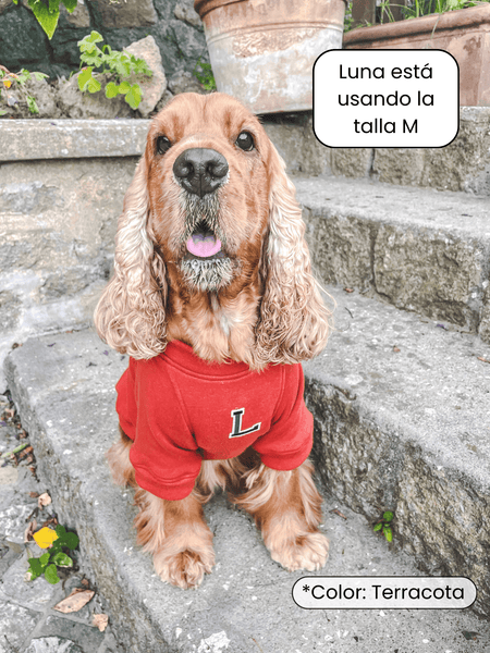 Sudadera para Perro - Negro - KINADOGS