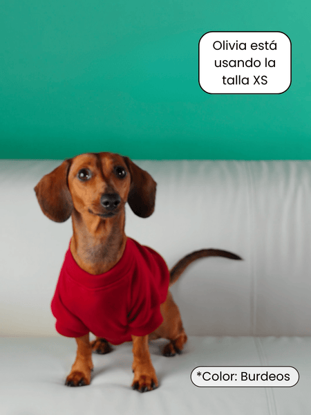 Sudadera para Perro - Negro - KINADOGS