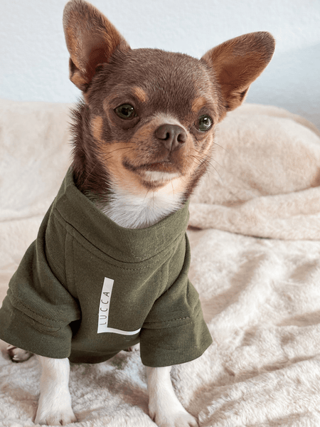 Sudadera para Perro - Oliva - KINADOGS