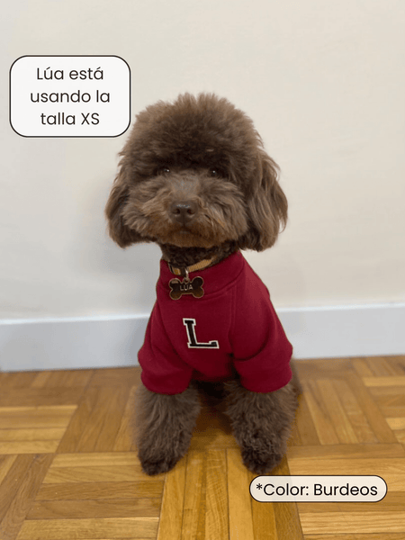 Sudadera para Perro - Rosa - KINADOGS