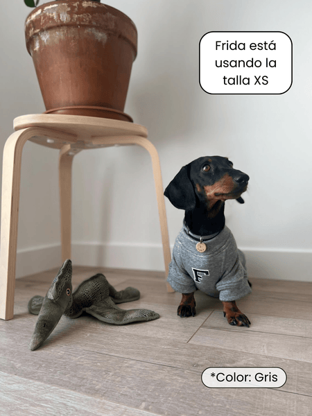 Sudadera para Perro - Rosa - KINADOGS