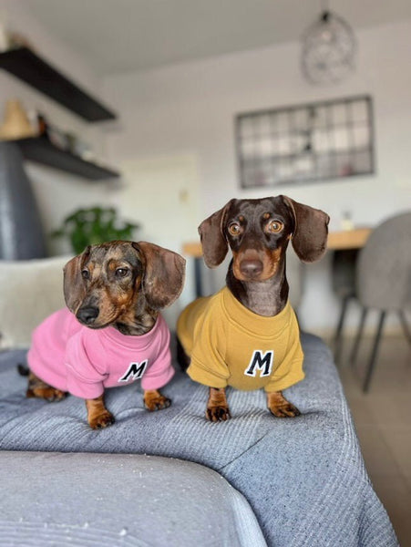 Sudadera para Perro - Rosa - KINADOGS