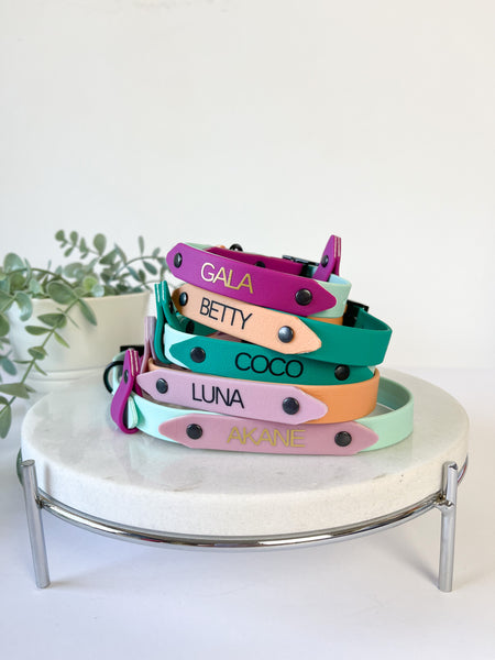 Collar personalizable PVC