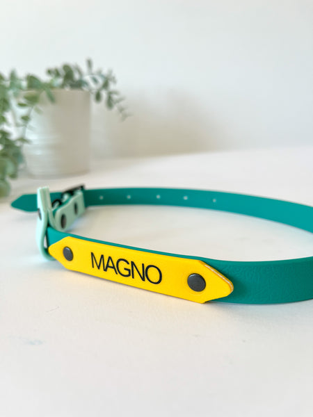 Collar personalizable PVC