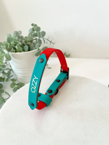 Collar personalizable PVC